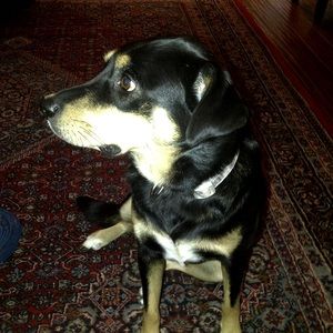 Meet your Posher, Michael